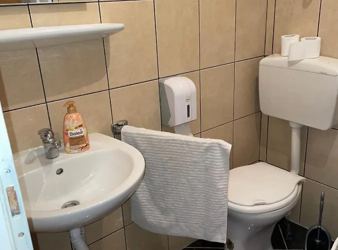 ベッド・アンド・ブレックファスト Stari Tocak Sarajevo Ilidža